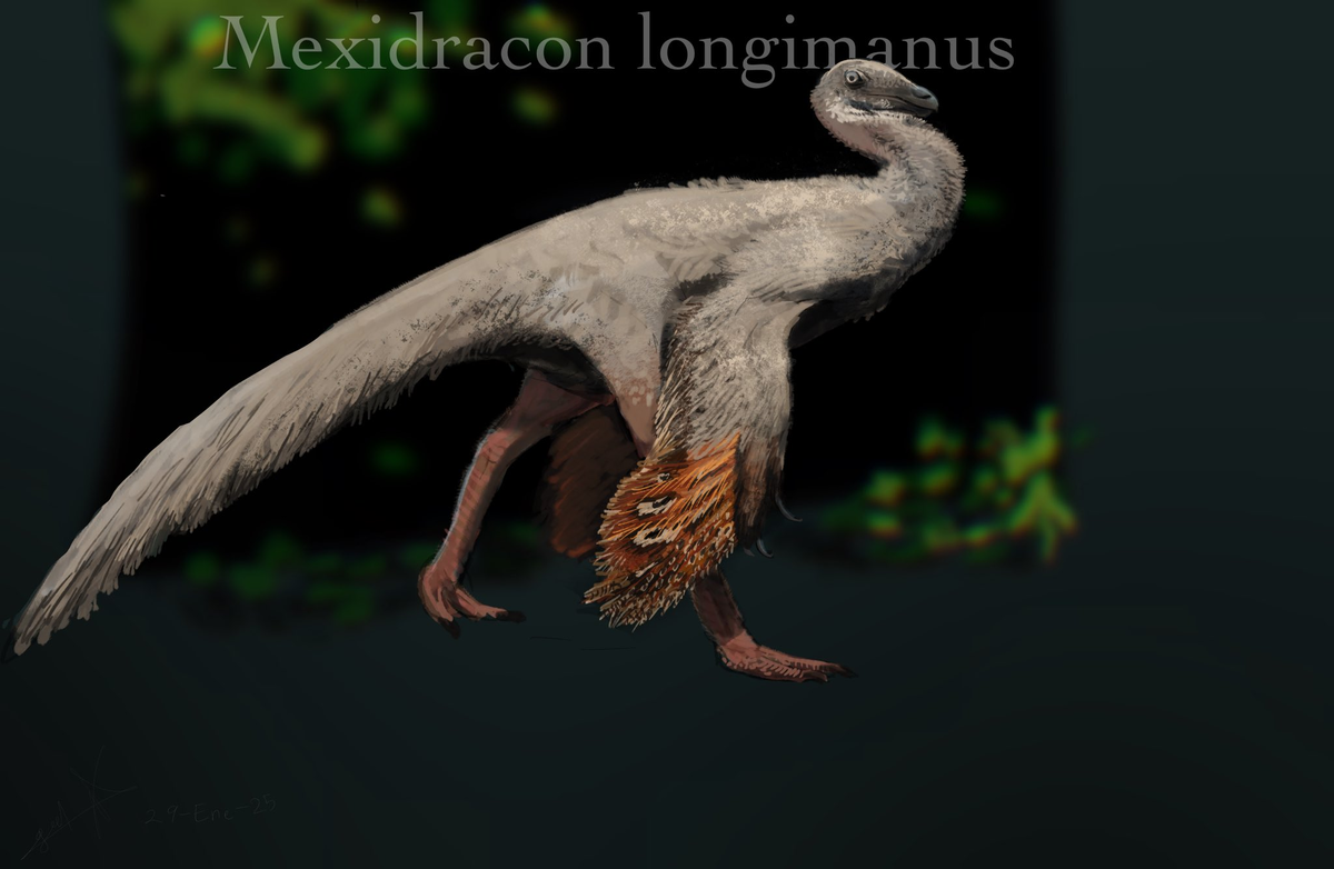 Реконструкция от Gael casas