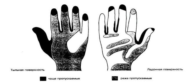 Микробиология. Наиболее контаминированные участки кожи рук.