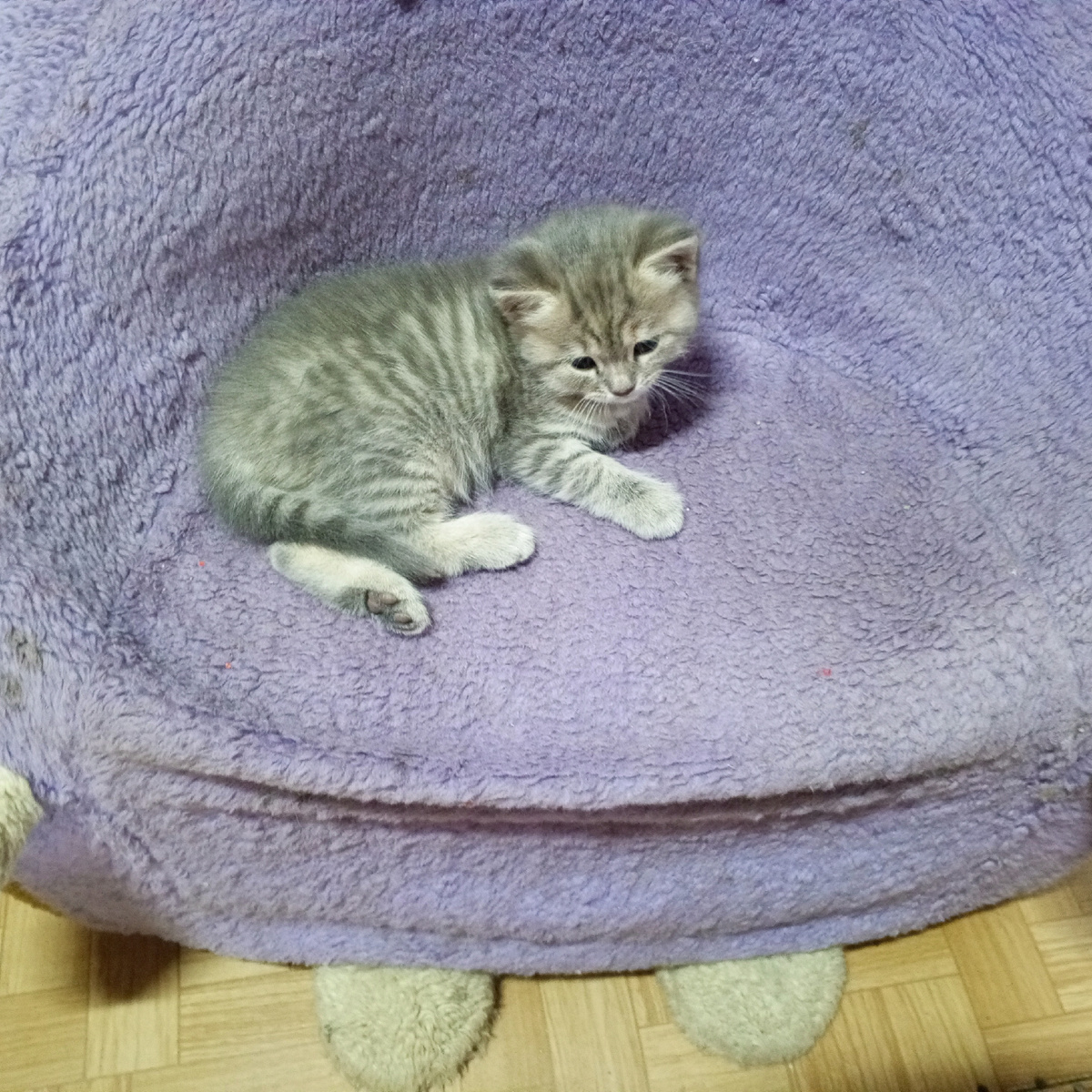 Фото из личного архива