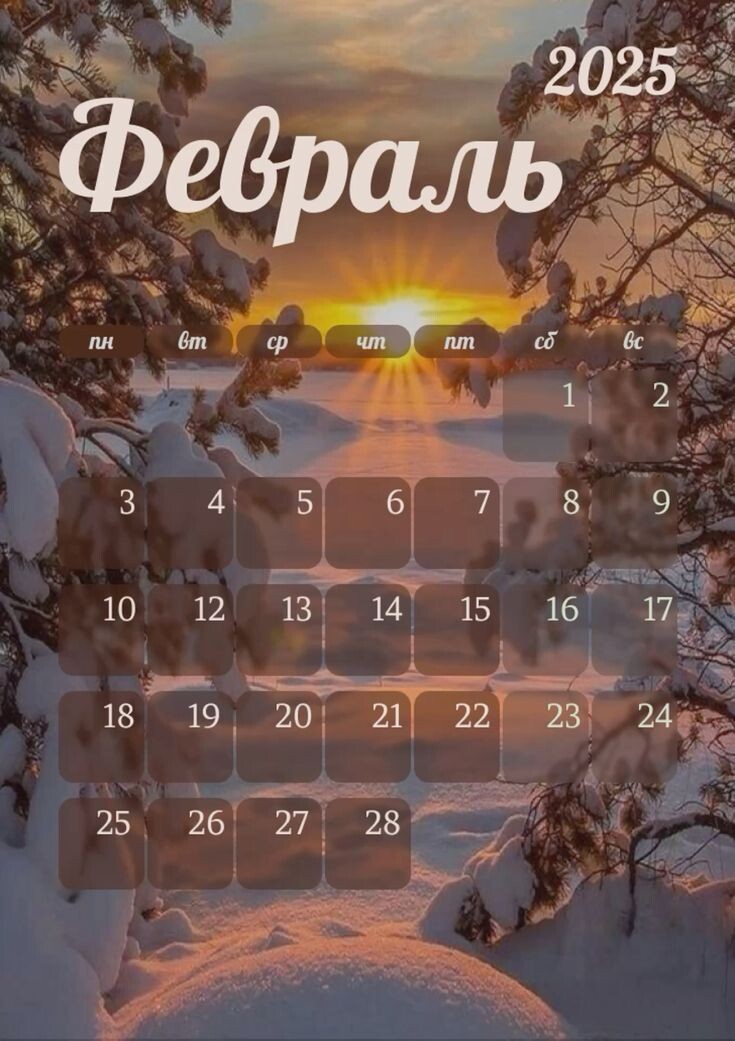 Посевной календарь на февраль 2025 года: готовимся к новому сезону