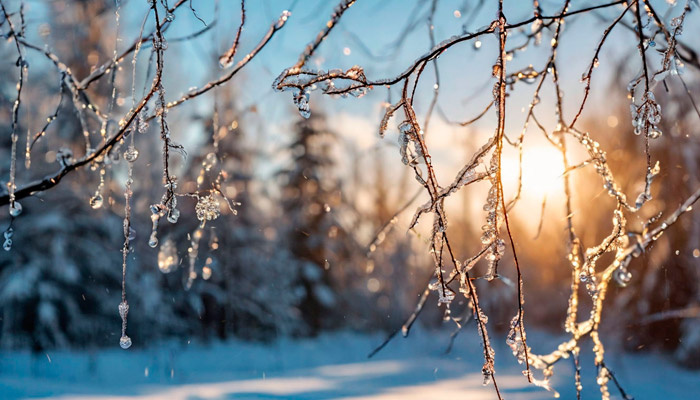 Если 1 февраля тепло, то первая половина лета будет дождливой. Фото: shedevrum.ai