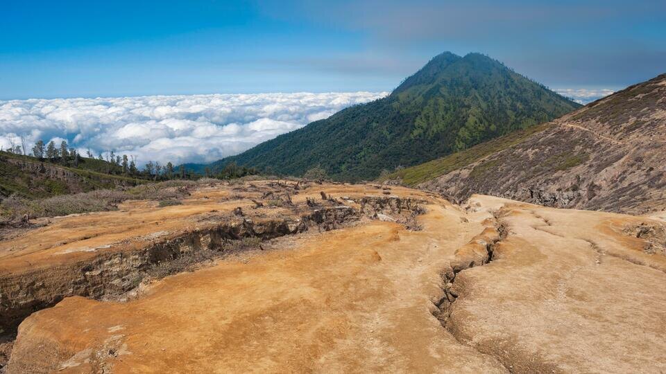 Фото: © Global Look Press/GTW/imageBROKER.com