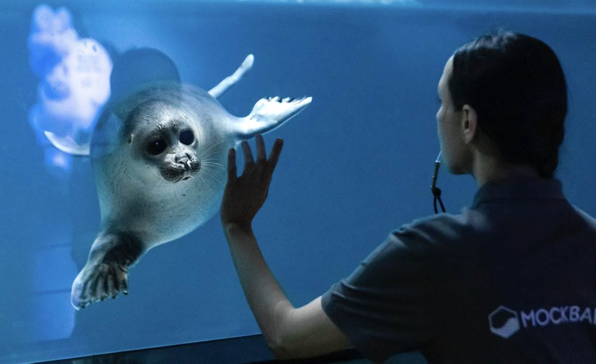 Фото: соцсети Алисы Колосовой