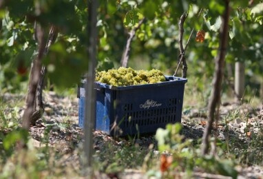 Обещают уже в этом году.