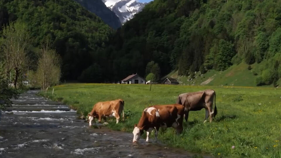 Фото: © Кадр из программы "Загадки человечества", РЕН ТВ