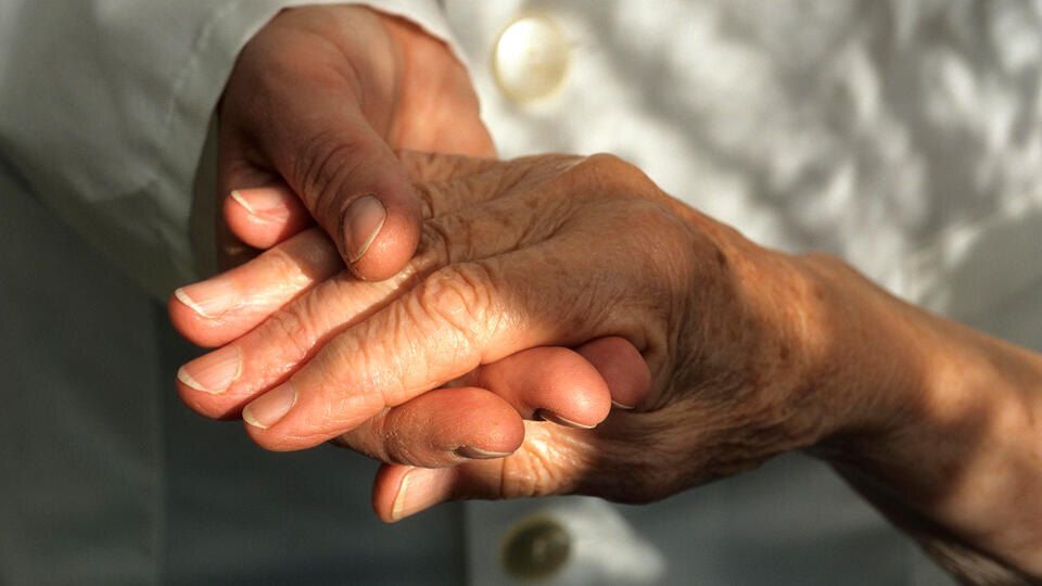 Фото: © Global Look Press/Ulrich Niehoff/imagebroker.com