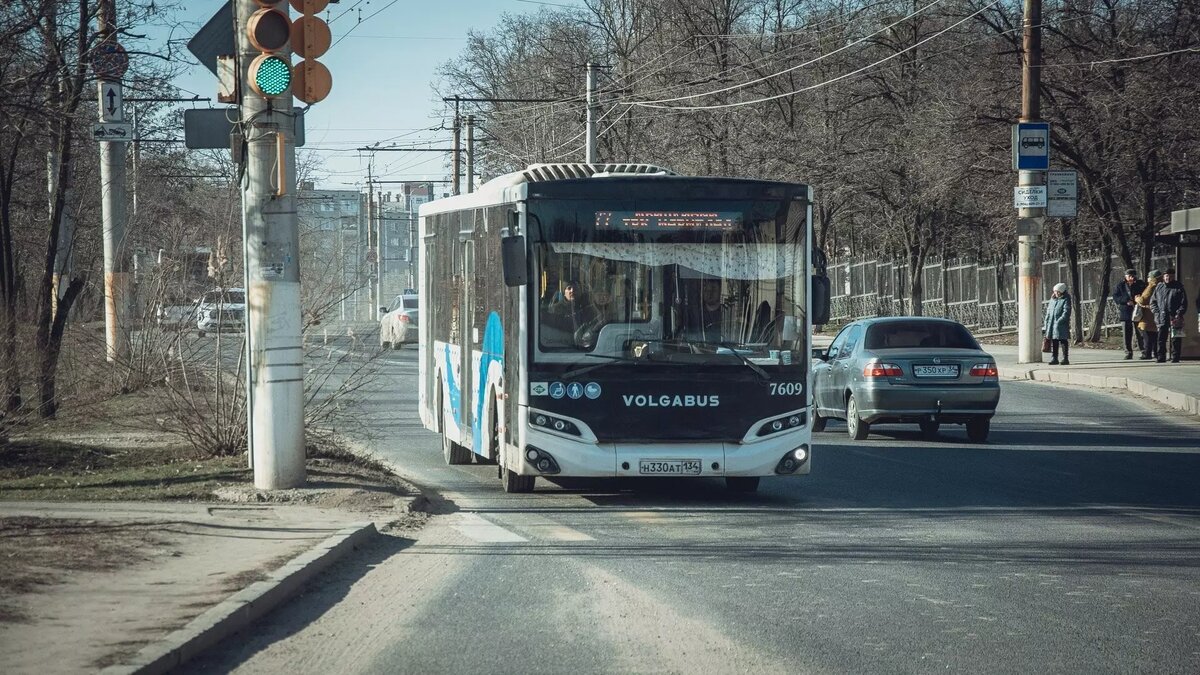     Автор: Антон Засимов Источник: novostivolgograda.ru