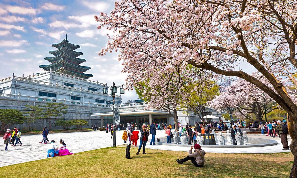 Южная корея | Студенты