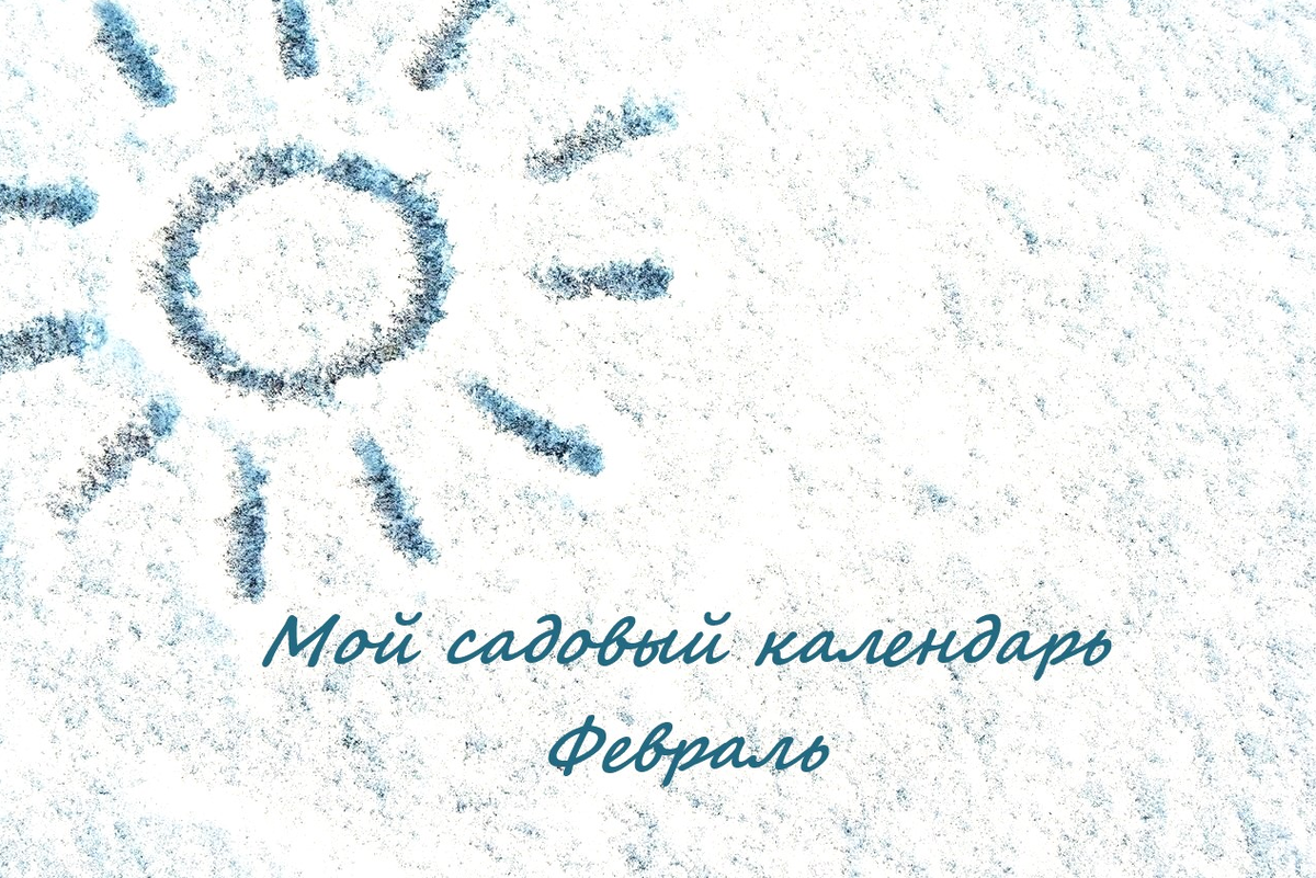 Февраль. Снег, ау-у!