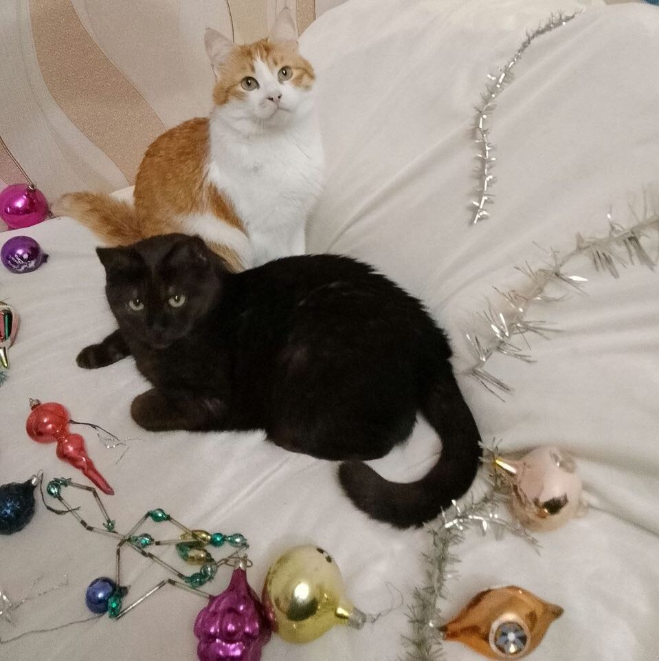 А мы- хорошие, ничего не трогаем!