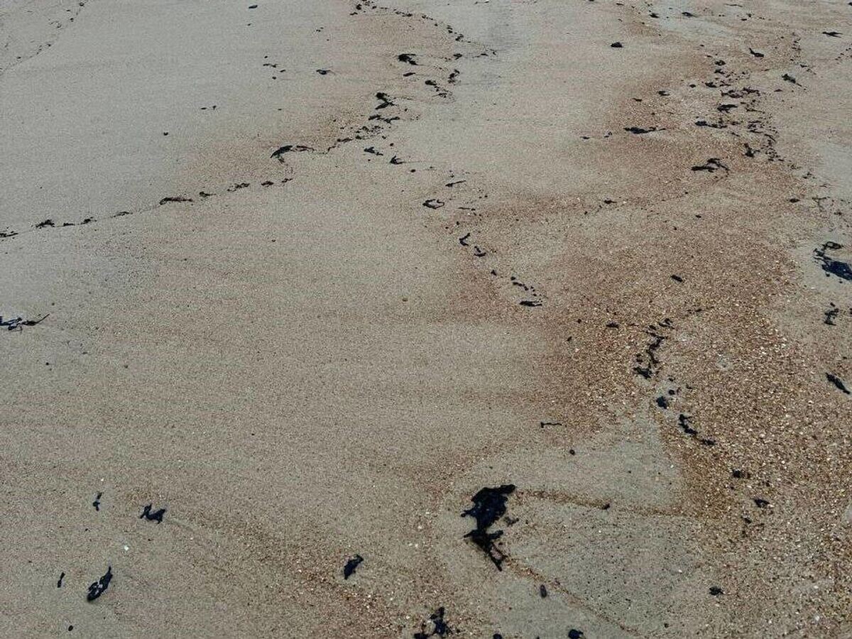    Повторный выброс мазута на берегу Анапы© Фото : Оперативный штаб - Краснодарский край/Telegram