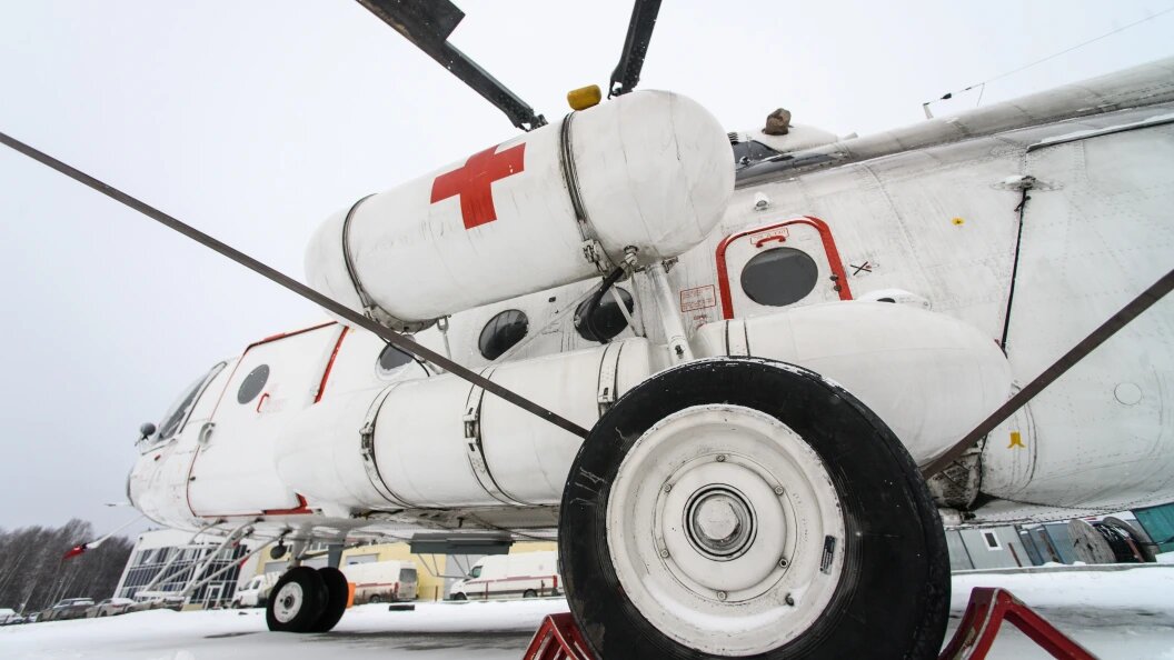    ФОТО: Ilya Moskovets/Globallookpress