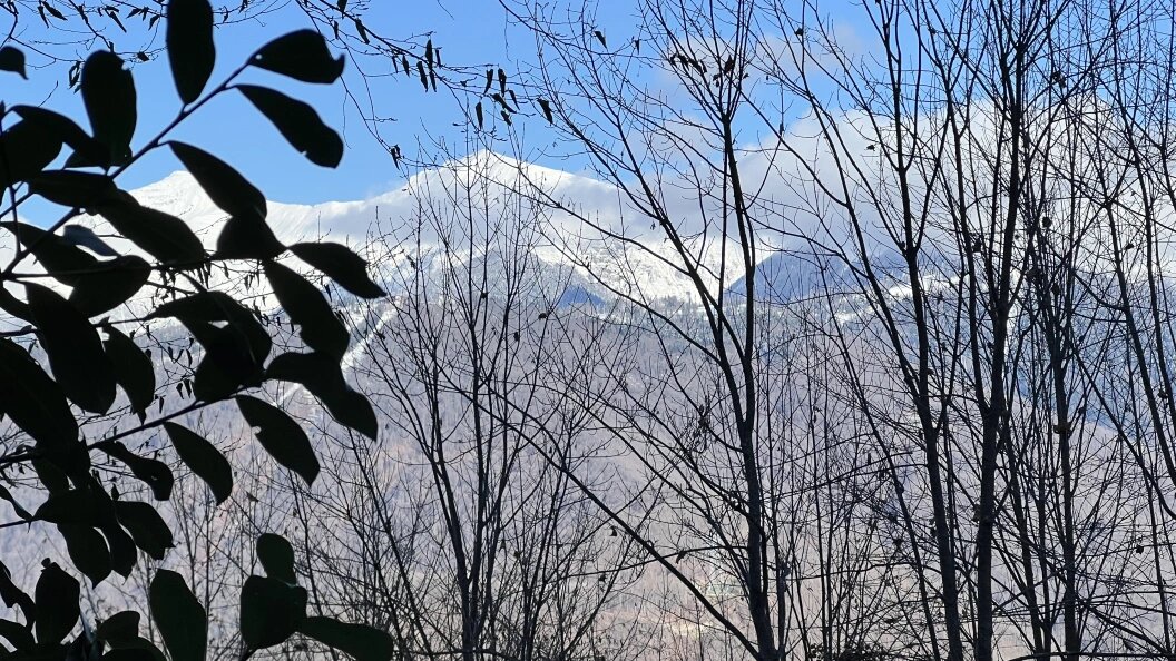    Фото: Царьград