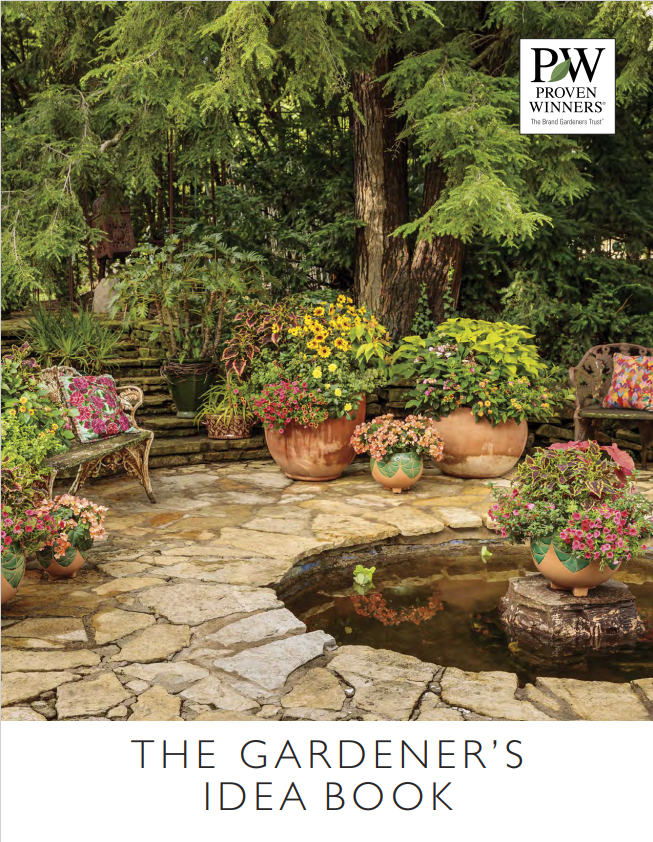 Книга идей 2025