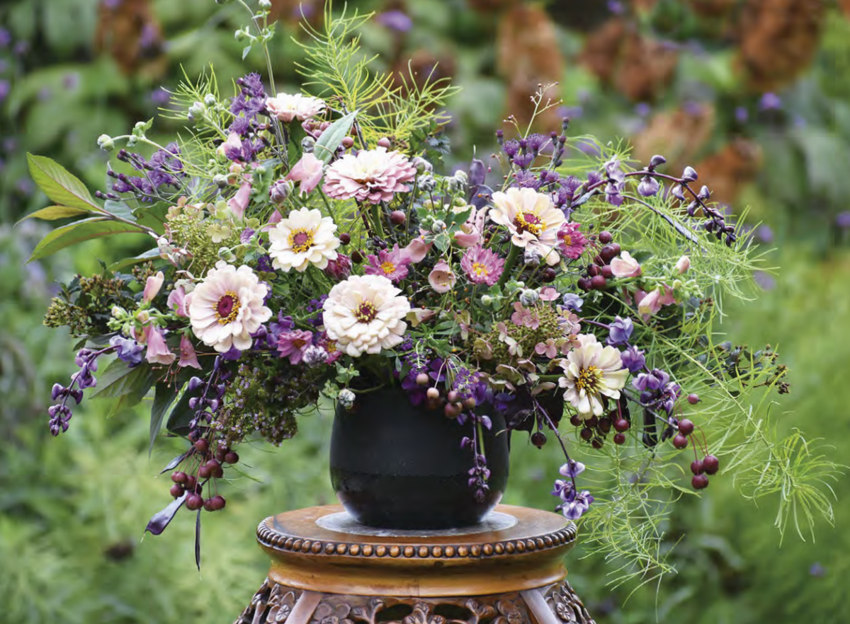 Красота, правда? Циннии шикарные!