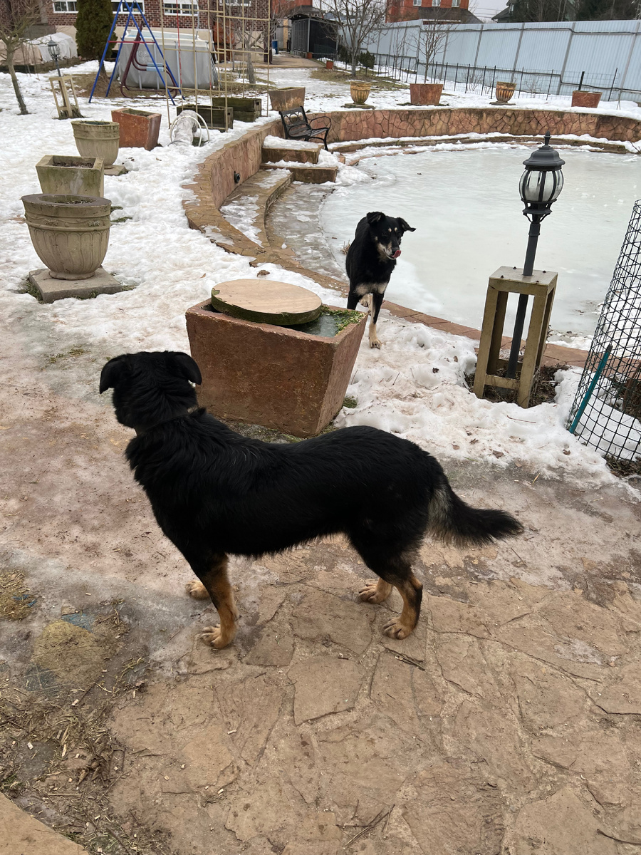 Арчи и Клепа: дуэль взглядов