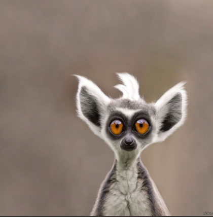 Источник Яндекс картинки