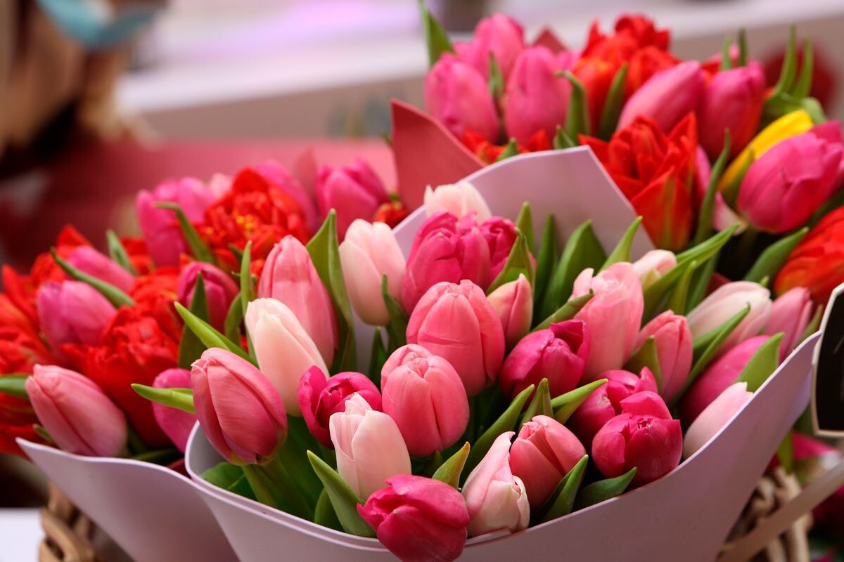    Фото: Sergey Bezgodov / Shutterstock.com