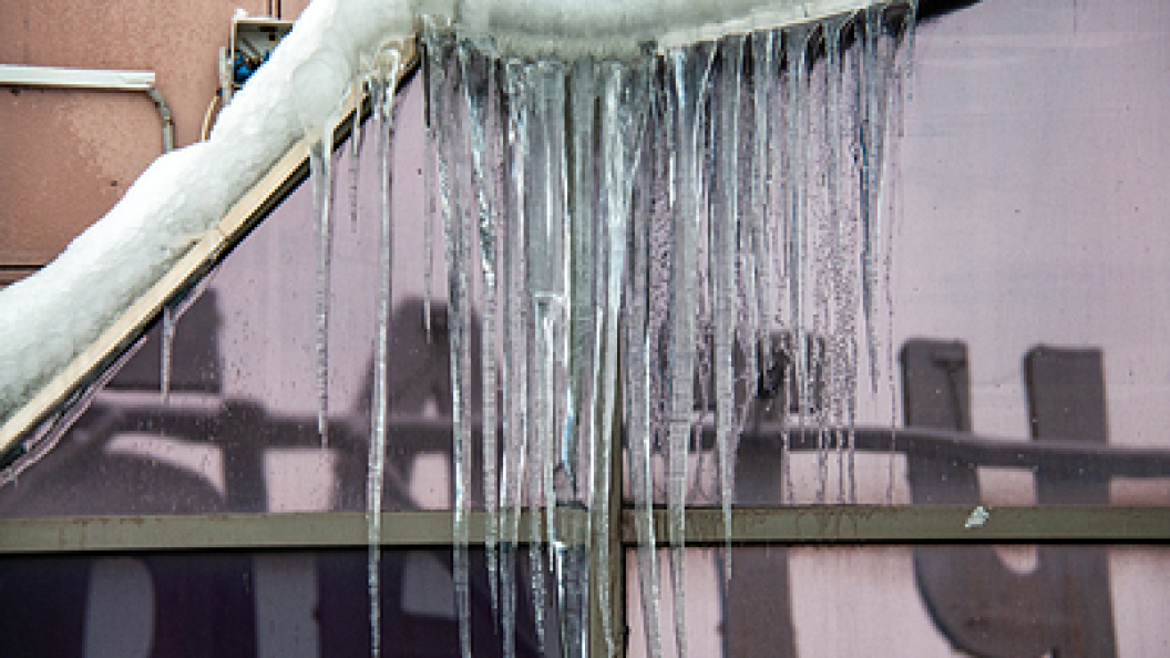    Фото: Svetlana Vozmilova/Globallookpress