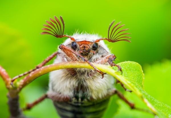 Привет, я подсяду?