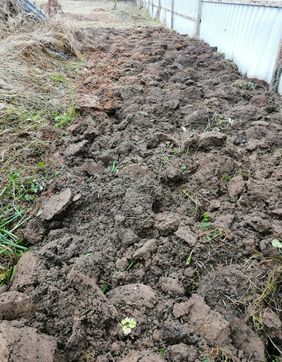 Красота же, правда? 