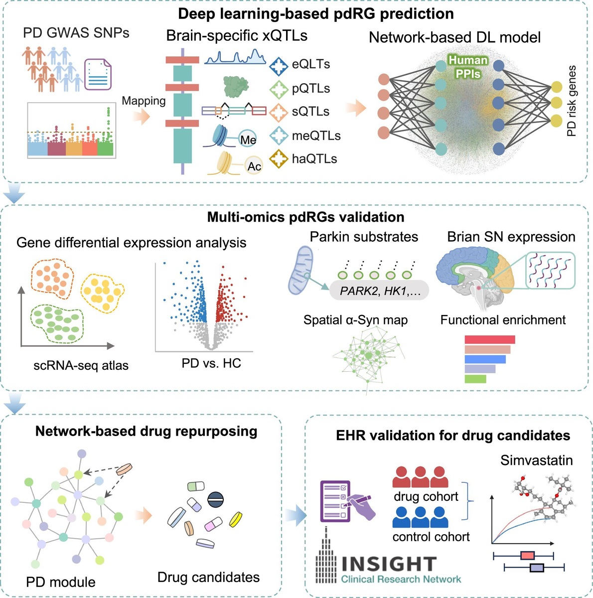    npj Parkinson's Disease
