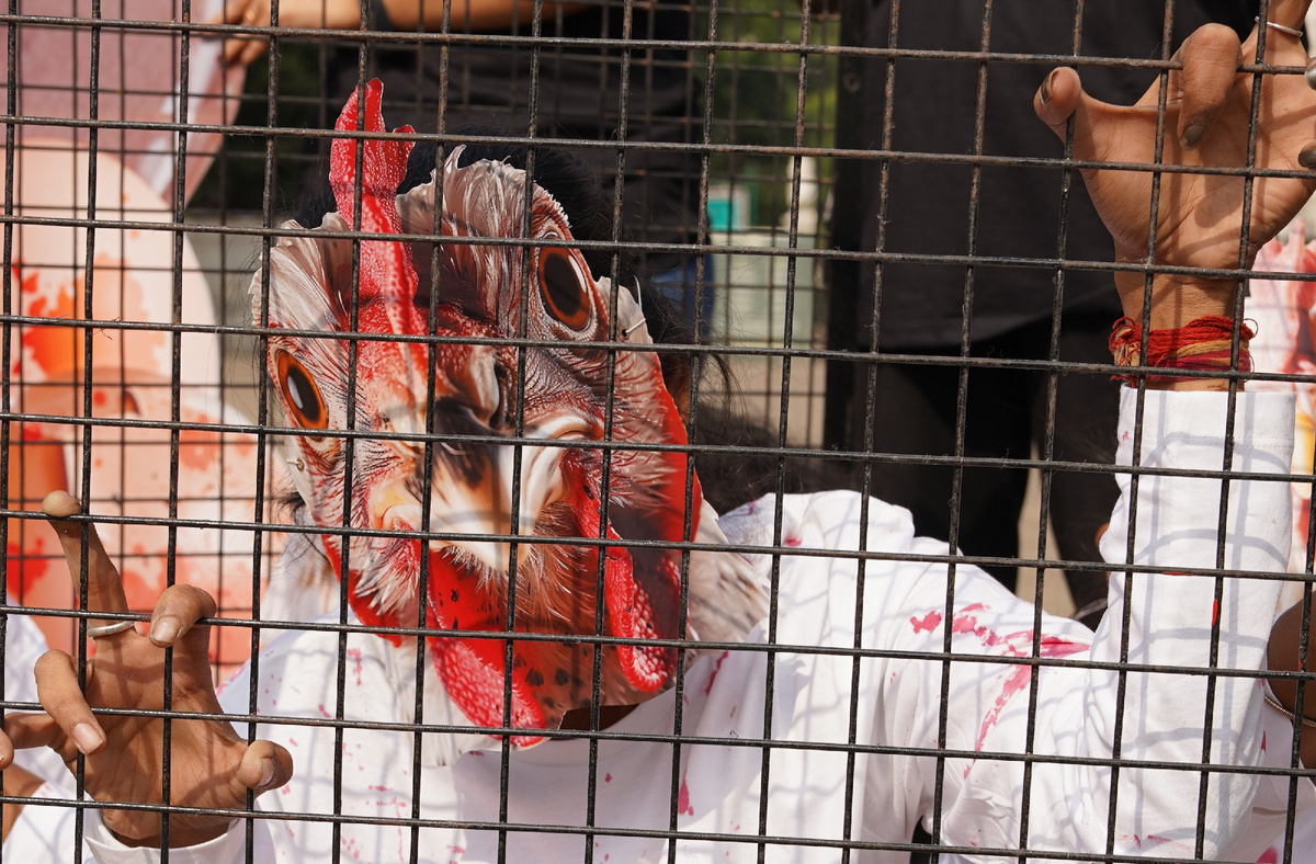 Фото: Biswarup Ganguly / Globallookpress.com