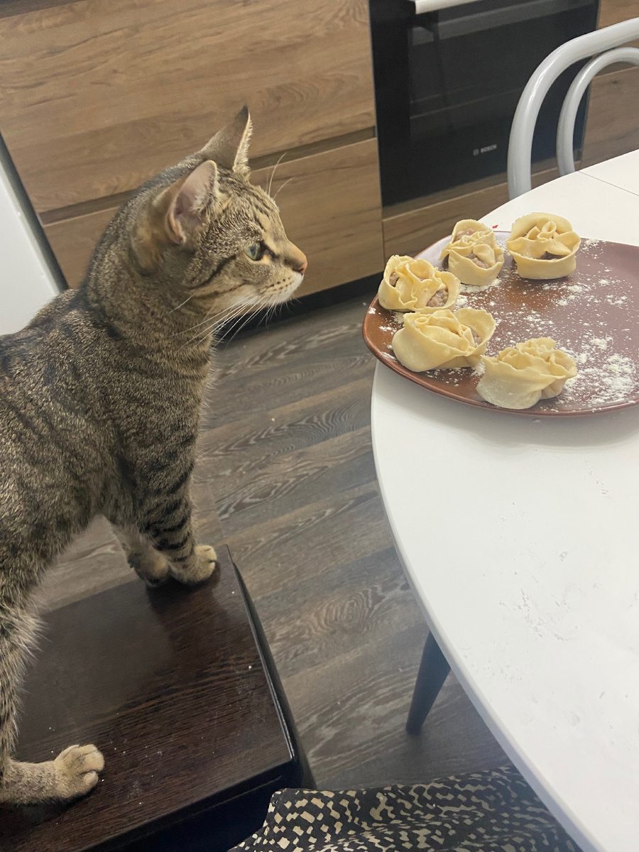 Лепить лепили, но не делились ни черта😈