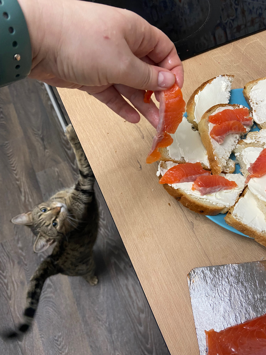 А потом еще и рыбой не делились. Ну что за люди?