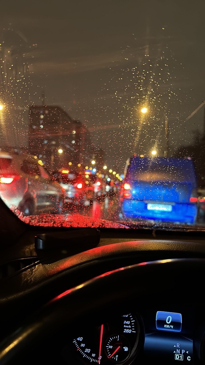 Фото: Лиса Лисовская 