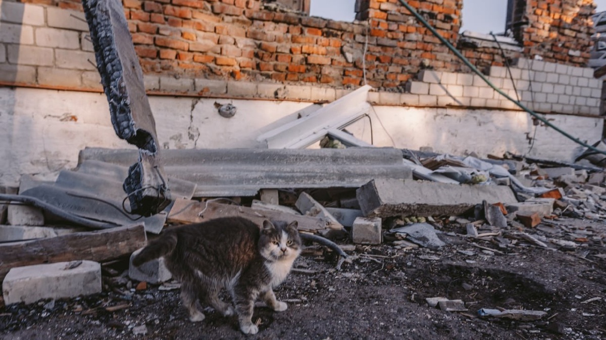    В результате обстрелов Курской области пострадал мирный житель