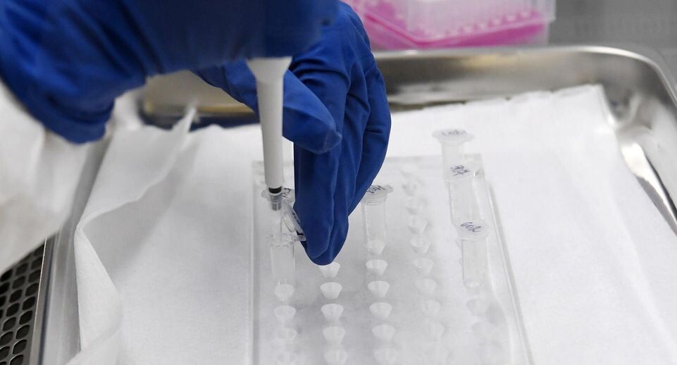    РИА «Новости»