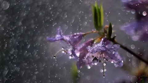 изображение из свободных источников