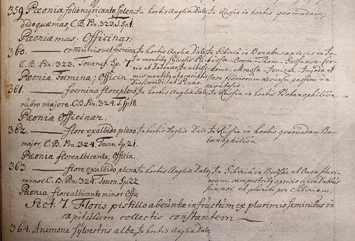 Фрагмент 133 листа рукописи Готлиба Мессершмидта в «Sibiria Perlustrata».