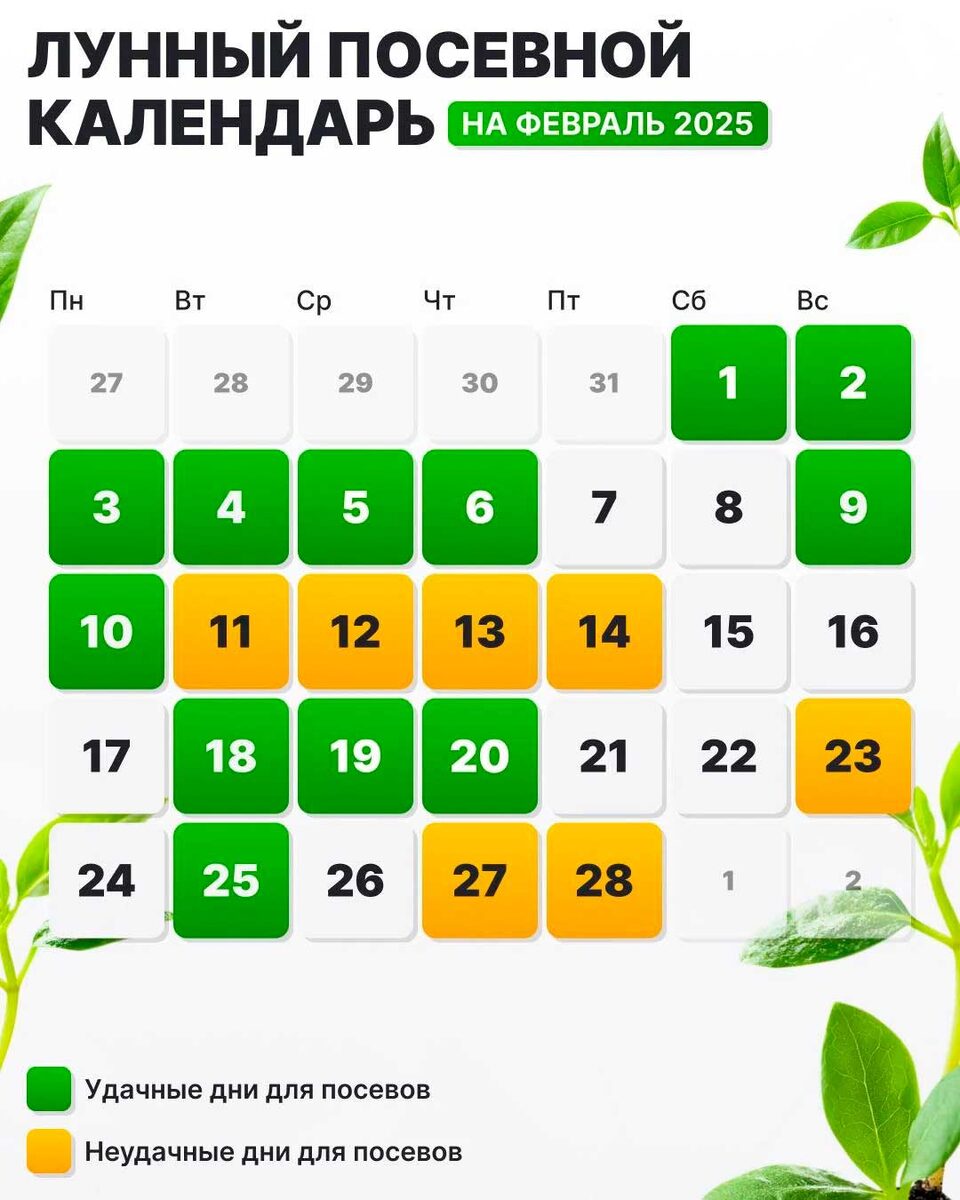 Посевной календарь на февраль 2025г. Посевной календарь на февраль 2025г. Лунный календарь для садоводов и огородников на 2023 год. Посевной календарь на февраль 2025г. Посевной календарь на февраль 2025г.