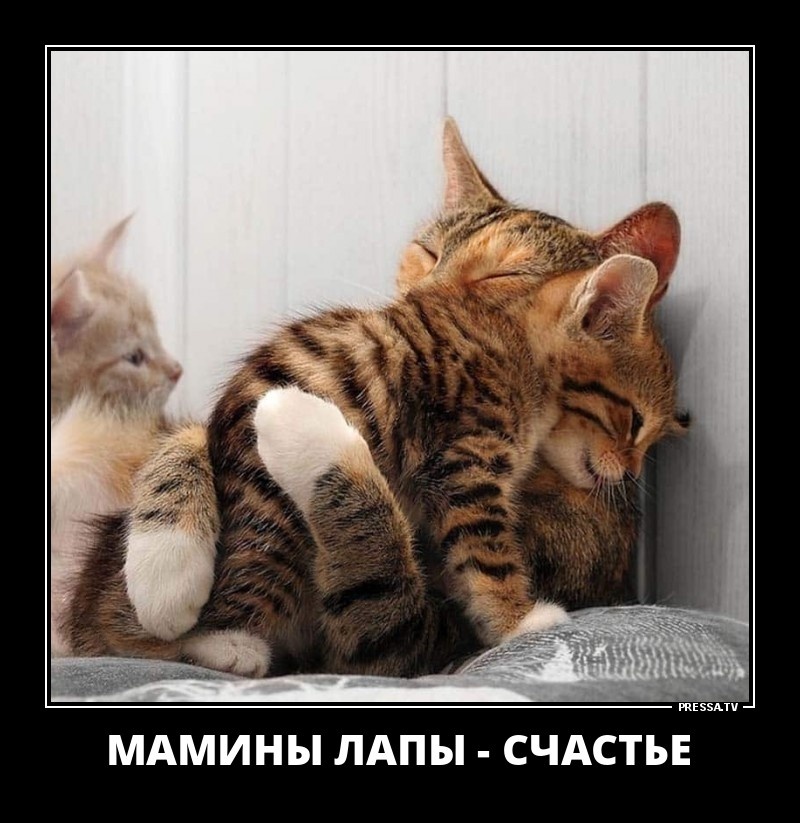 источник Яндекс-картинки