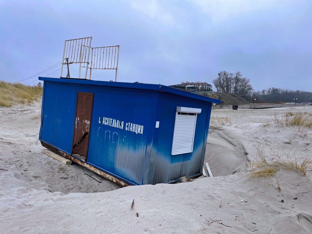 Автор фотографии - моя читательница Викки