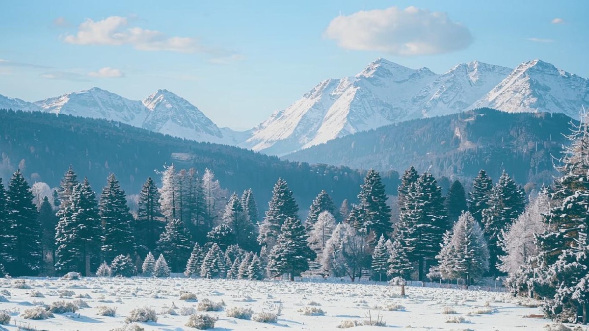 Нейросеть Кандинский