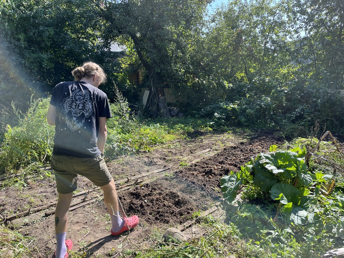 Супруг копает картошку