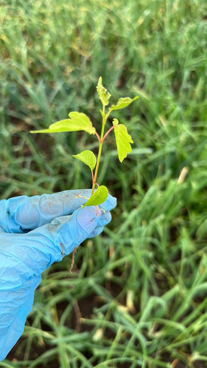 Фото: Лиса Лисовская 