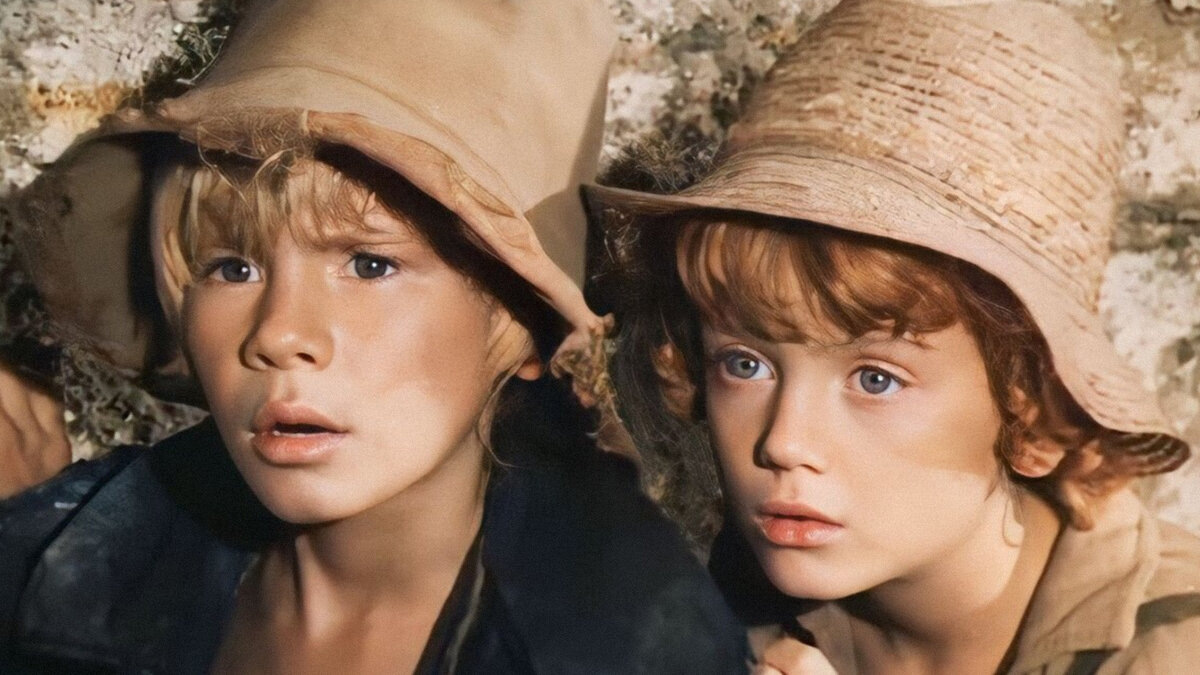 Том Сойер и Гек Финн