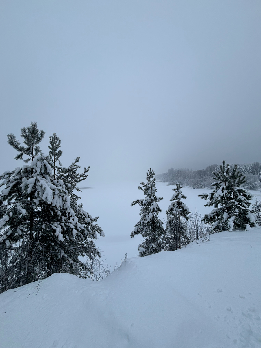 Вид с берега на Свирь