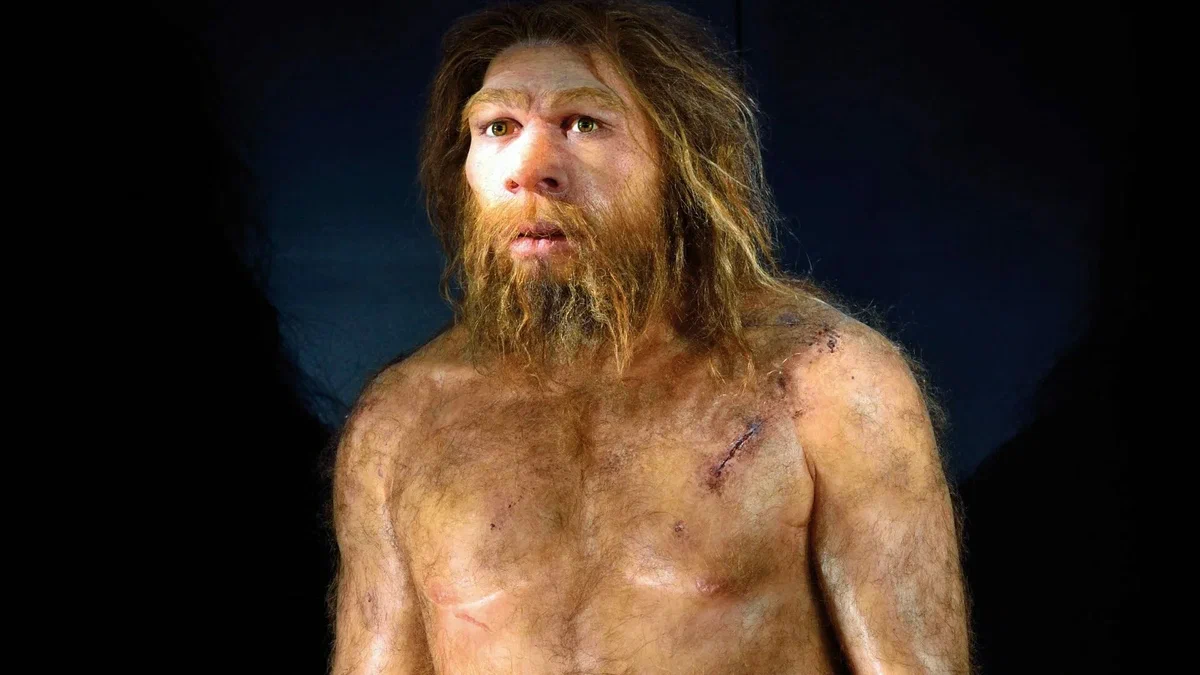 Источник изображения: https://www.thesun.co.uk/tech/14203612/neanderthals-could-speak-like-modern-humans/