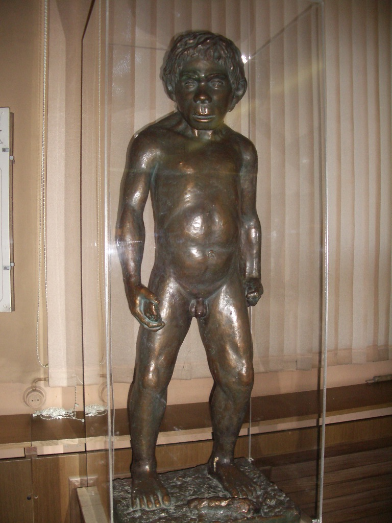 Неандертальский мальчик из пещеры Тешик-Таш в Узбекистане. Реконструкция М.М. Герасимова. Источник изображения: Авторство: Карма2. Государственный биологический музей имени К. А. Тимирязева, фотоаппарат, GFDL 1.2+, https://ru.wikipedia.org/w/index.php?curid=3663325