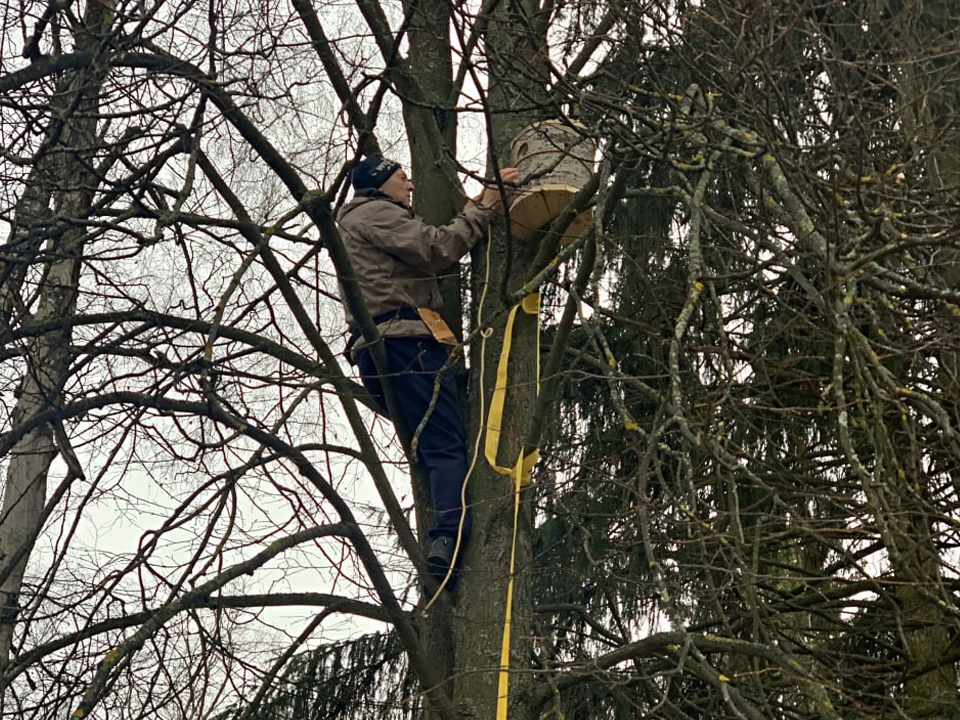     Фото: МБУК «Городской парк культуры и отдыха»