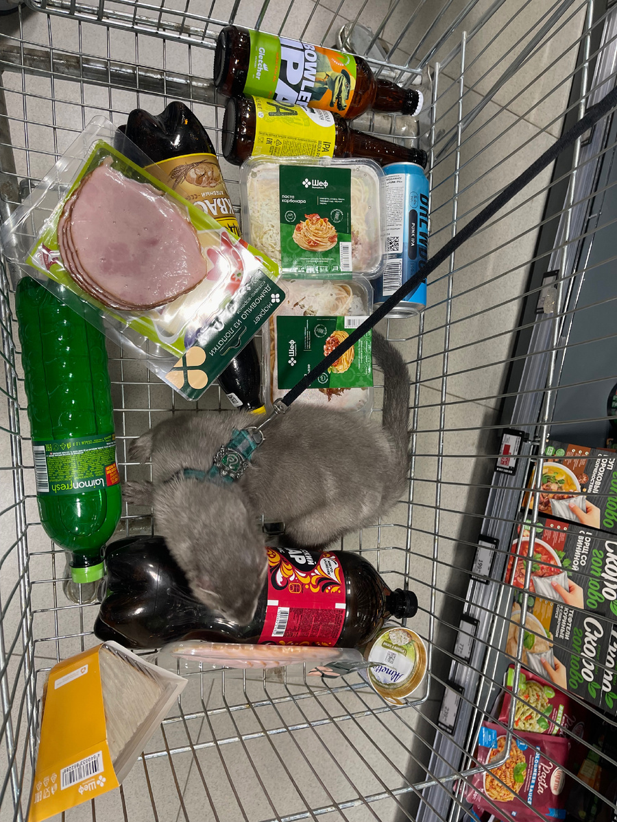 Еда для «человеков», а норка просто катается в тележке