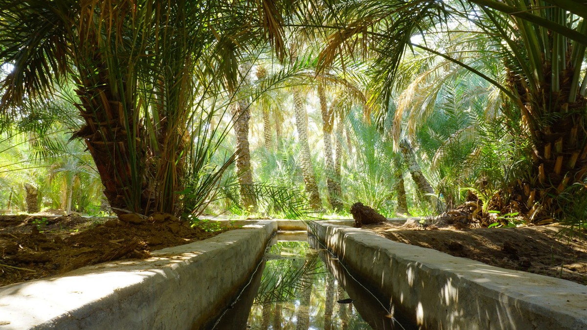 Источник фото: bauck.com