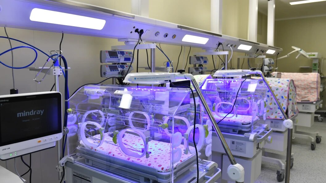    Komsomolskaya Pravda/Globallookpress