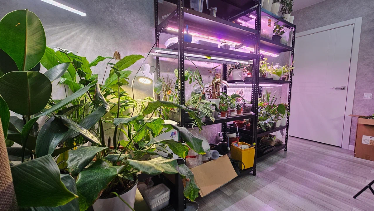 Так вот это всё выглядит