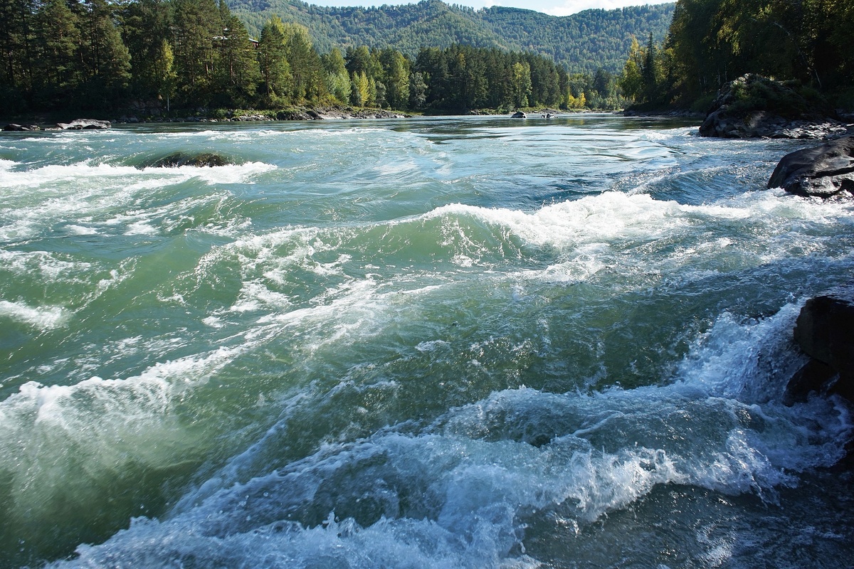 Воды реки Катунь в сентябре в солнечную погоду, фото автора